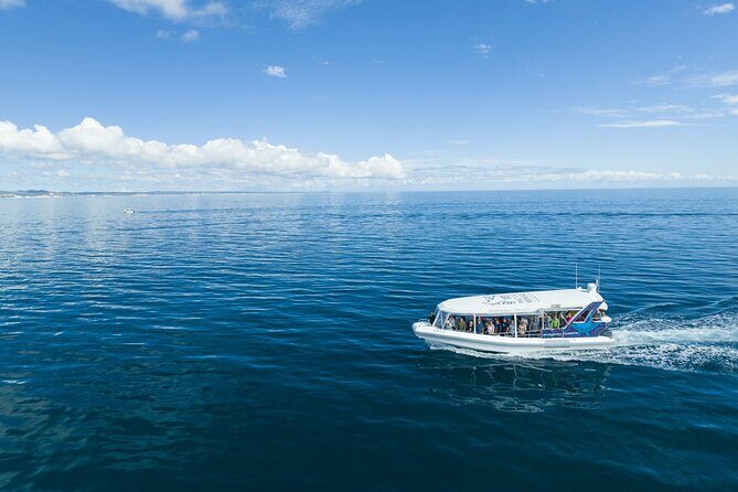 Hervey Bay Ultimate Whale Watching Cruise - The Itinerary in Detail