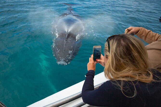 Hervey Bay Ultimate Whale Watching Cruise - Value for Money
