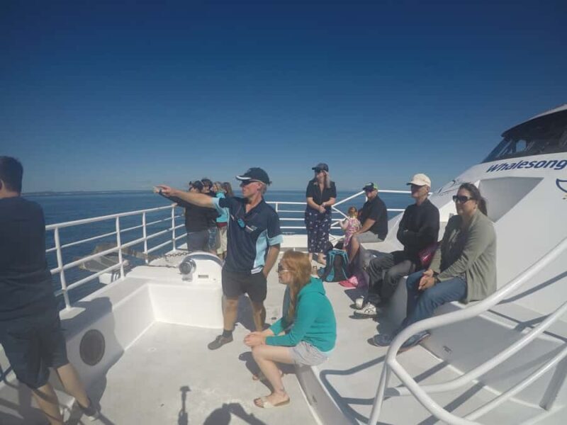 Hervey Bay: Whalesong's Half-Day Whale Watching Cruise& Meal - Value for Money and Who Should Book