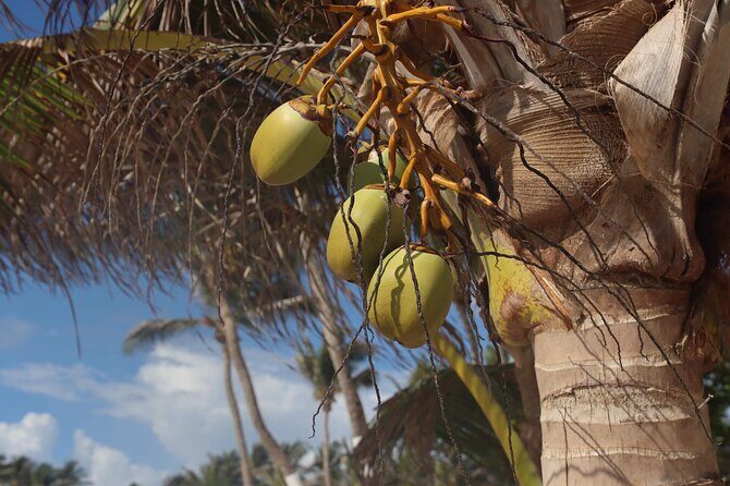 Hewanorra International Airport (UVF) Private St.Lucia Transfers. - Real Travelers’ Voices