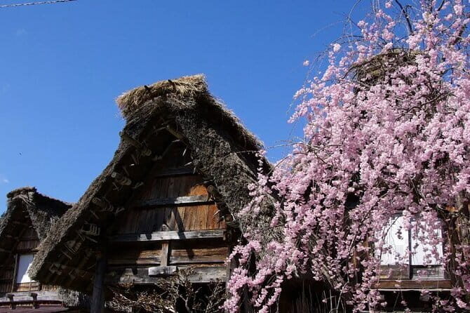 Hida Takayama and Shirakawago One Day Bus Tour from Nagoya - The Final Word