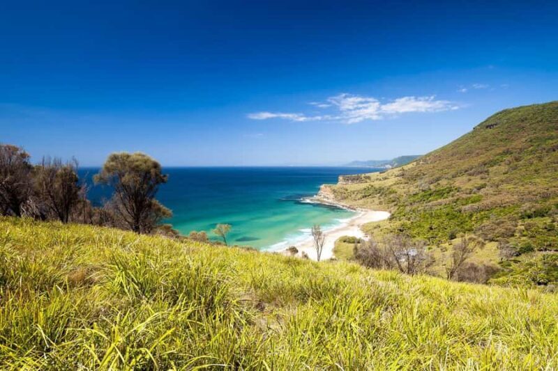Hidden beaches and waterfalls Day trip ! - Exploring the Hidden Beaches and Waterfalls Day Trip in Sydney