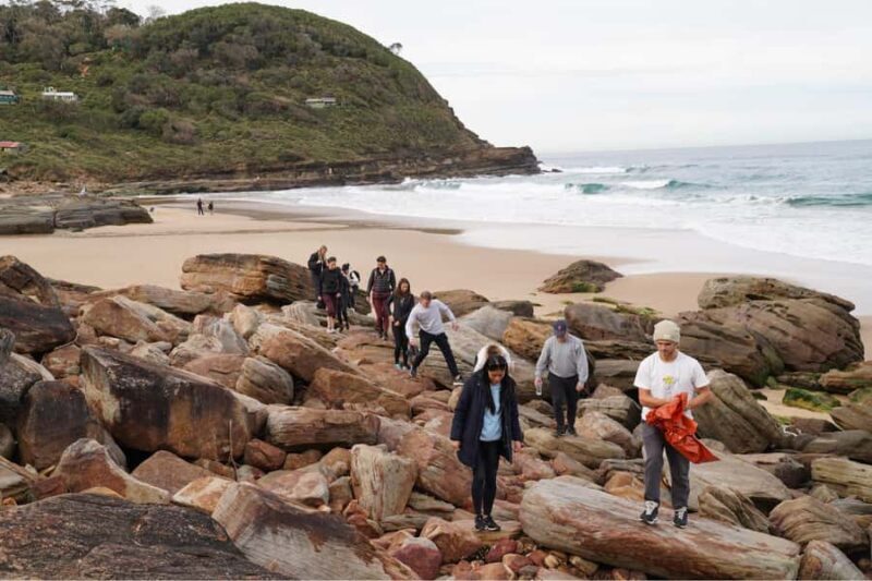 Hidden beaches and waterfalls Day trip ! - Wattamolla Waterfall and the Secret Beach