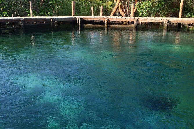 Hidden Beauty at Holbox Island Tour! From Cancun & Riviera Maya - Authentic Experiences and Traveler Feedback