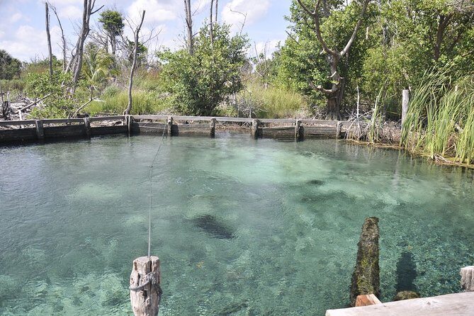 Hidden Beauty at Holbox Island Tour! From Cancun & Riviera Maya - FAQs
