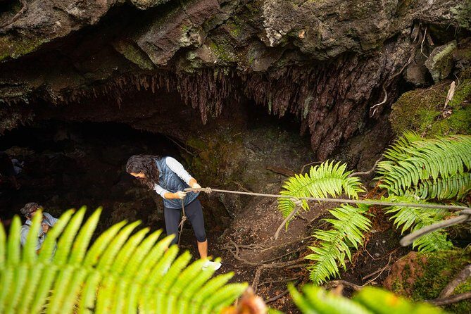 Hidden Craters Hike of Kona - The Sum Up: Who Will Love This Tour?