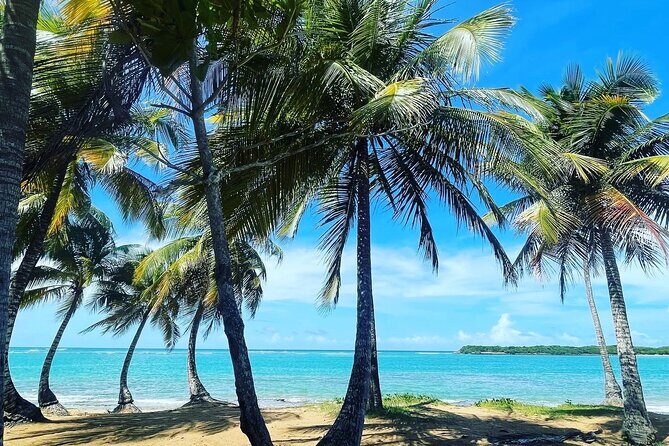 Hidden Fresh Spring of Water+ Cave+ Beach & Food Full Day Tour - Introduction