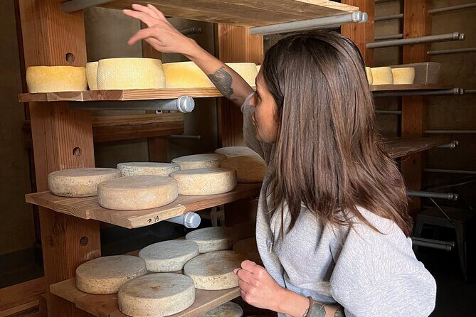 Hidden Gems Adventure in West Sonoma County - Who Should Consider This Tour?