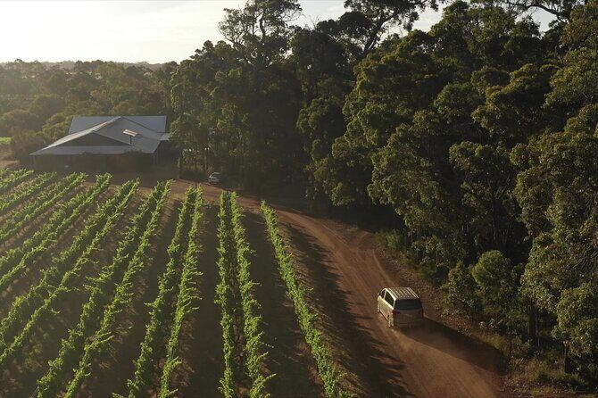 Hidden Gems: Boutique Full-Day Wine, Farm & Lunch Tour - A Deep Dive into the Itinerary