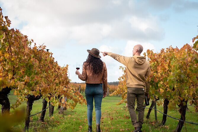 Hidden Gems: Boutique Full-Day Wine, Farm & Lunch Tour - The Experience at Its Best: Authenticity & Value