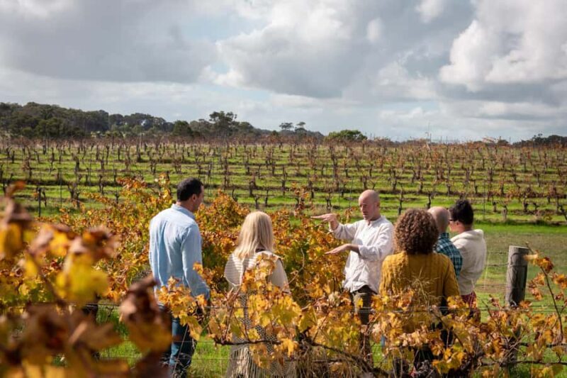 Hidden Gems Margaret River: Authentic Wine & Farm Experience - Food and Drink Highlights: Olive Oil, Chocolate, and More