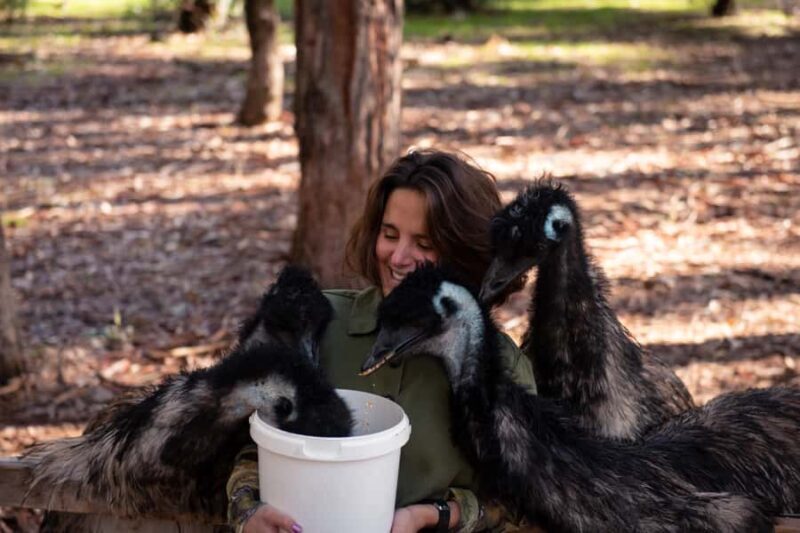 Hidden Gems Margaret River: Authentic Wine & Farm Experience - The Cost and Value