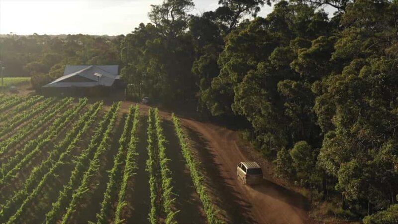 Hidden Gems Margaret River: Authentic Wine & Farm Experience - Suitability for Travelers