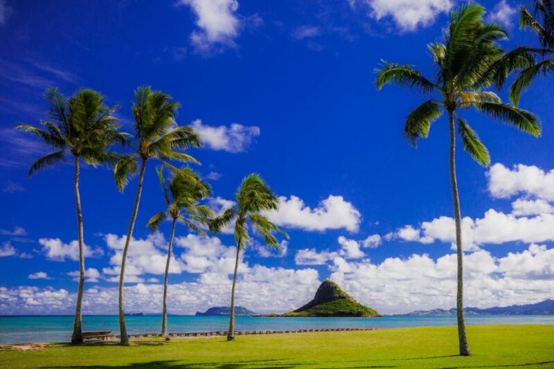 Hidden Gems of Oahu Circle Island Tour with Byodo-In Temple - Key Points
