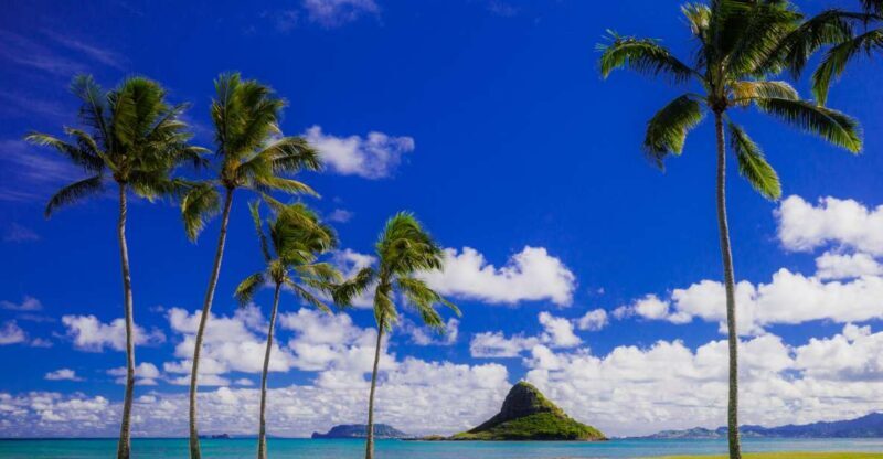 Hidden Gems of Oahu Circle Island Tour with Byodo-In Temple - Who Should Consider This Tour?