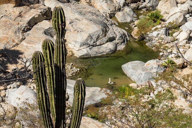 Hidden Gems of Sierra Laguna: El Triunfo and Natural Springs. - Who Should Consider This Tour?