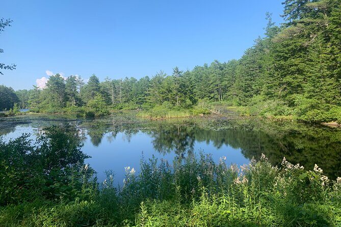 Hidden Harbor E Bike Tour of Boothbay Harbor - The Sum Up: Who Would Love This Tour?