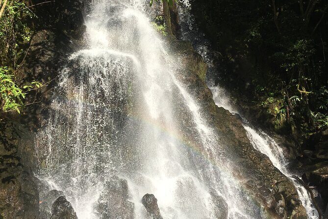 Hidden Hawaii Tours - Authentic Feedback from Travelers