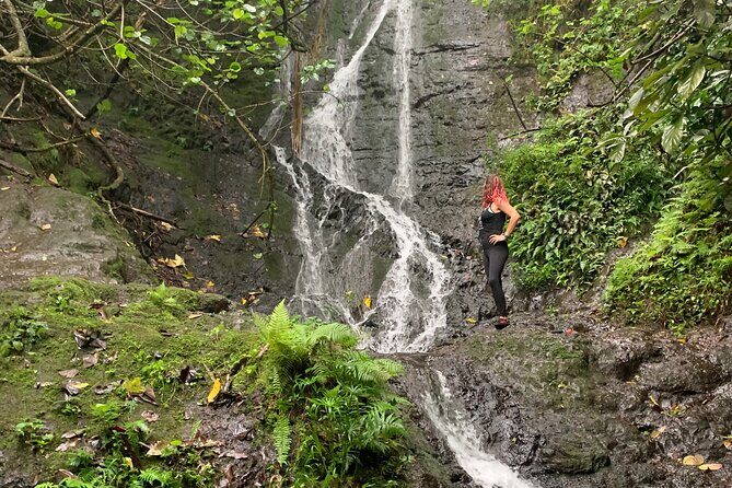 Hidden Hawaii Tours - The Value Proposition and Who Should Consider This Tour