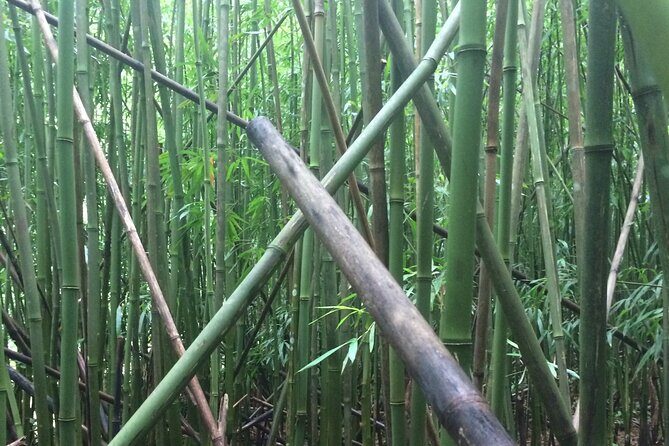 Hidden Hawaii Tours - FAQ