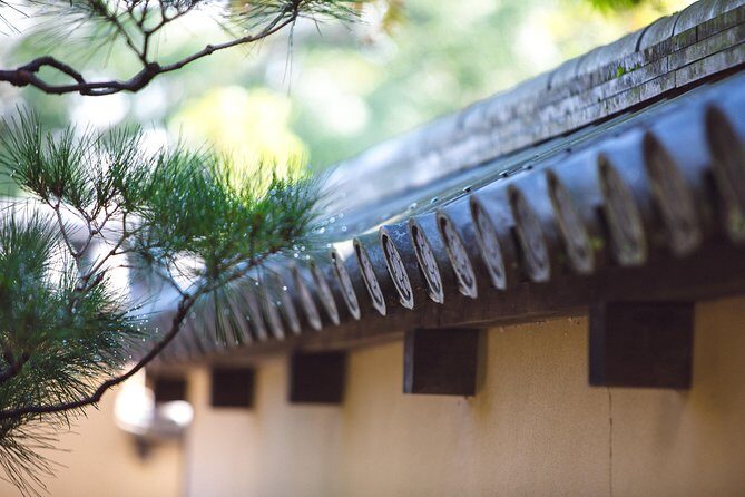 Hidden Kyoto E-Biking tour - What’s Included and What to Consider