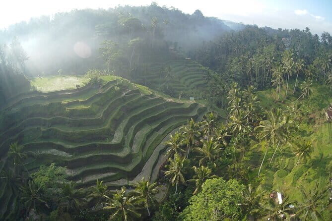 Hidden North Waterfall Bali All inclusive - Who Should Consider This Tour?