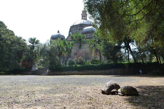 Hidden Treasures of Addis Ababa - Food, Culture and History Tour - Key Points
