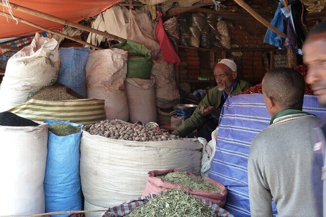 Hidden Treasures of Addis Ababa - Food, Culture and History Tour - Who Will Enjoy This Tour?