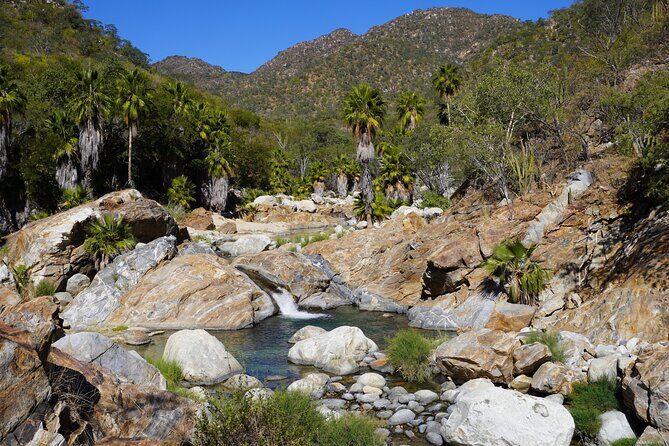 Hidden Waterfalls Hiking Adventure - An In-Depth Look at the Hidden Waterfalls Hiking Adventure