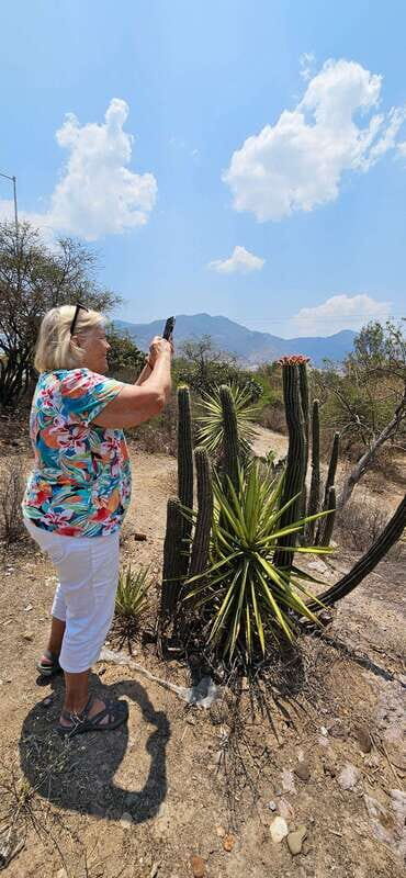 Hierve el agua: A Day of Adventure, Culture, and Flavor - Analyzing the Value