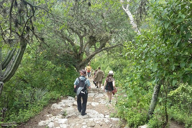 Hierve el Agua and Teotitlan del Valle Tour from Oaxaca - Final Thoughts