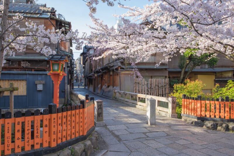 Higashiyama | Kyoto: Sakura Season Private Rickshaw Tour - An In-Depth Look at the Kyoto Sakura Rickshaw Experience