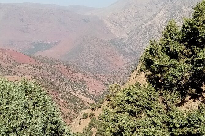 High Atlas Adventure: Discover Ourika Valley and Berber Culture - The Return Journey and Reflection