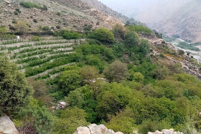 High Atlas Adventure: Discover Ourika Valley and Berber Culture - What’s Included and What You Should Budget For