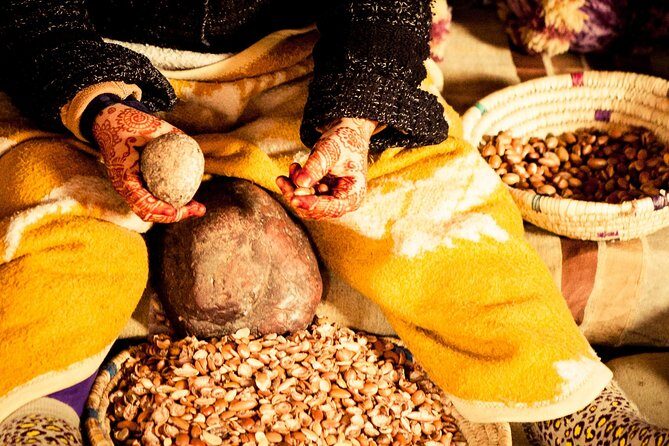 High Atlas Mountains and Desert Day Tour from Marrakech - Transportation & Comfort