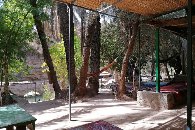 High Atlas Mountains And The Local old Market Private Day Tour - Key Points