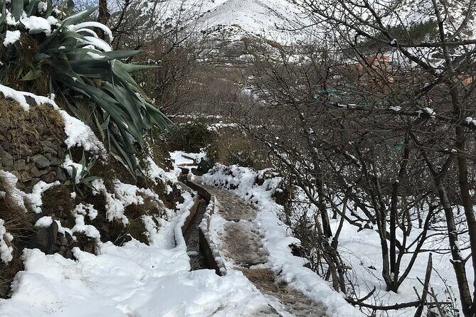 High Atlas Mountains Day Trip and Camel Trek - A Fully-Featured Day Out in the Atlas Mountains