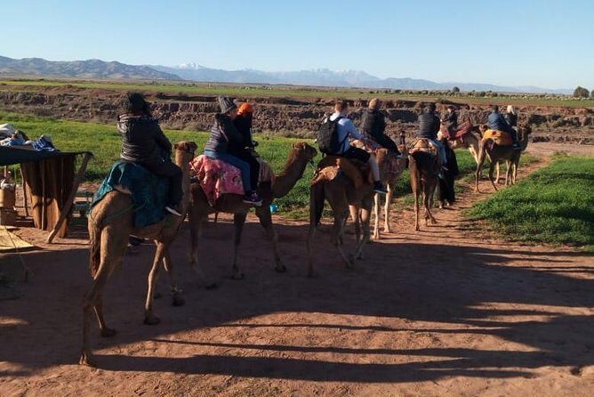 High Atlas Mountains Day Trip and Camel Trek - Final Thoughts