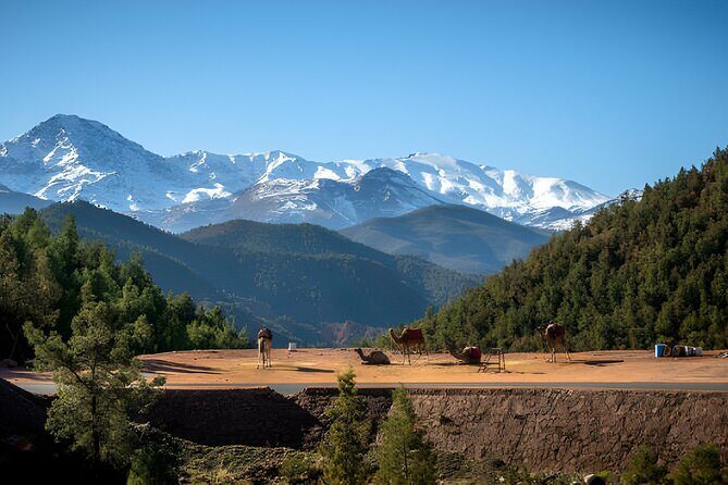 High Atlas Mountains Day Visit " Ourika Valley & Setti Fatma" - Key Points