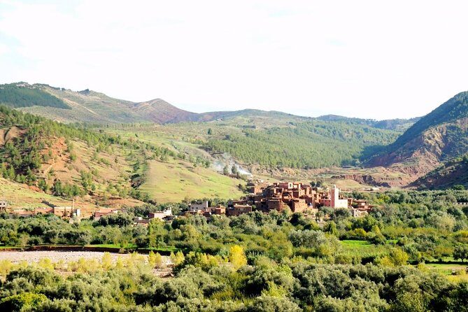 High Atlas Mountains - Ourika Valley Full-day Trip from Marrakech - Overall Experience & Value
