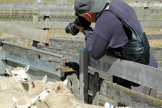 High Country Discovery Tour from Queenstown - Frequently Asked Questions