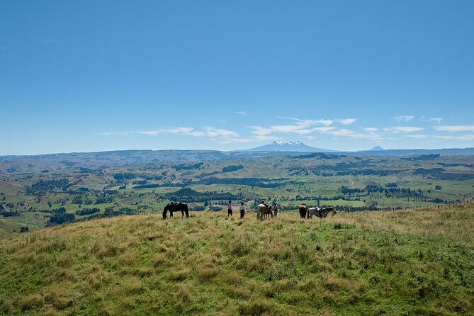 High Country Enchantment Full-Day Horse Trek - What Makes This Tour Stand Out?