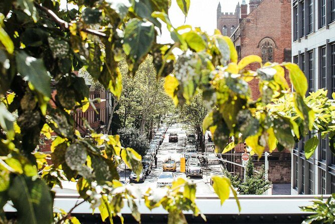 High Line and Chelsea Small Group Tour - An Inside Look at the Tour Itinerary