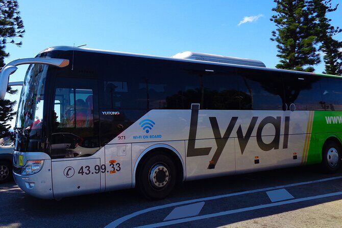 Highlight City Tour in New Caledonia - Who Will Enjoy This Tour?