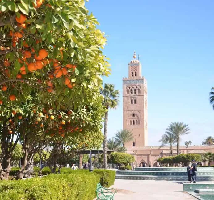 Highlights & Hidden Gems of Marrakech - Practical Aspects of the Tour