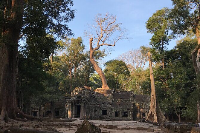 Highlights of Angkor Wat, Ta Prohm & Angkor Thom - Practical Details and Value