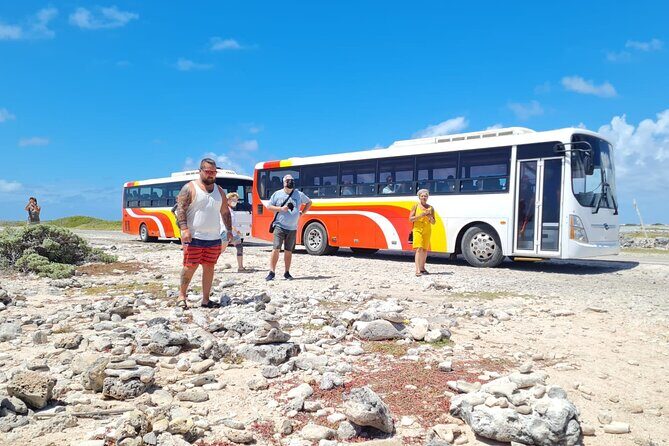 Highlights of Bonaire & Cultural Experience - Insights From Real Travelers