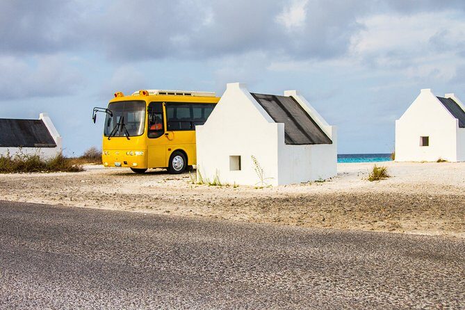 Highlights of Bonaire & Cultural Experience - Value and Who Will Love This Tour