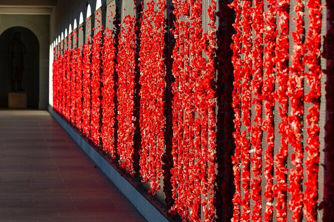 Highlights of Canberra Full Day Tour - An In-Depth Look at the Canberra Full Day Tour