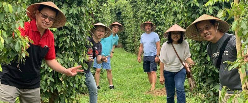 HIGHLIGHTS OF PHU QUOC FULL DAY TOUR - The Sum Up